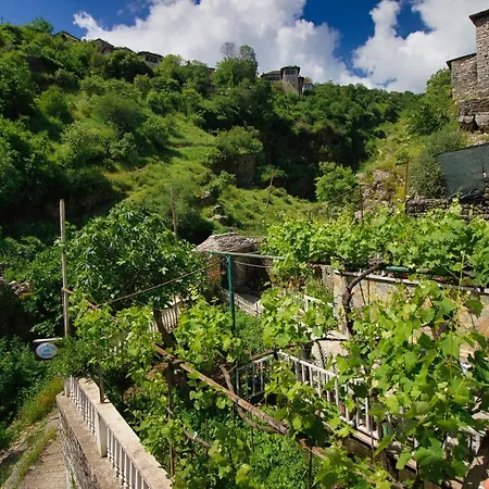 Grandma's Gjirokastra
