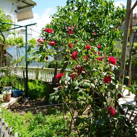 Pensjonat Grandma's 3*