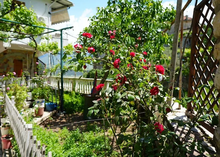 Casa de hóspedes Grandma's 3*