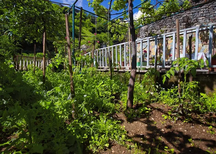 Guest house Grandma's 3*